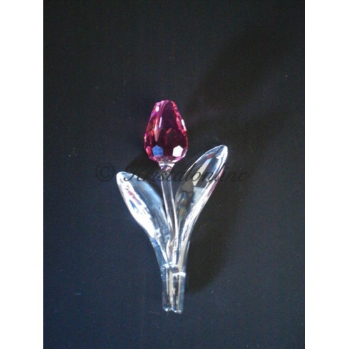 Tulip Pink