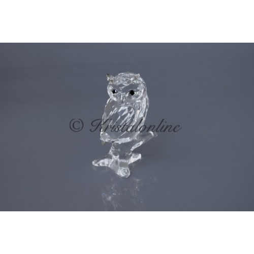 Owl - 2014