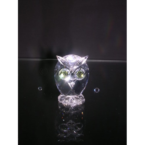 Owl mini