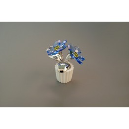 Forget me not