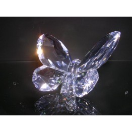 Butterfly Crystal Clear