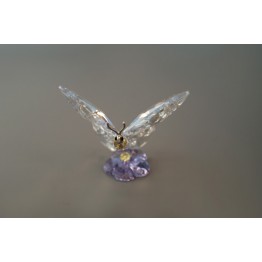 SCS - Butterfly - Event Piece 2013