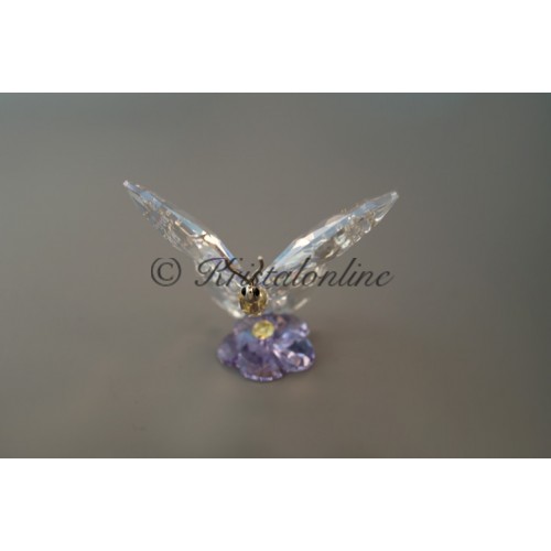 SCS - Butterfly - Event Piece 2013