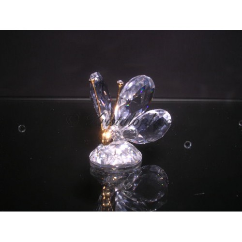 Butterfly mini