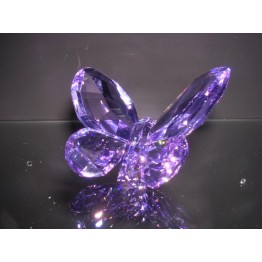 Butterfly Violet