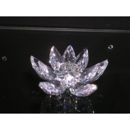 Water lily small