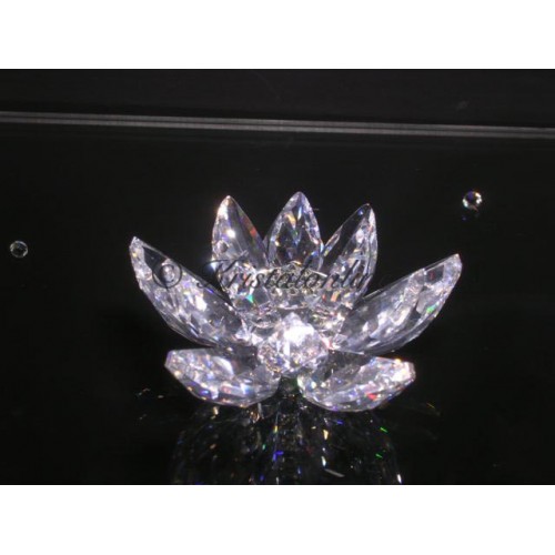 Water lily small