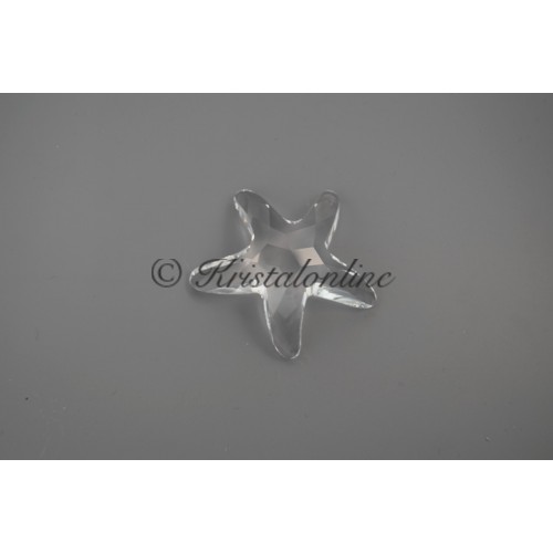2005 Starfish