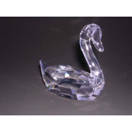 Swan