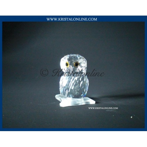 Owl small 2009
