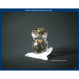 Owl medium 2009