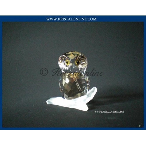 Owl medium 2009