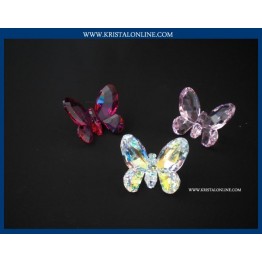 Butterflies small red
