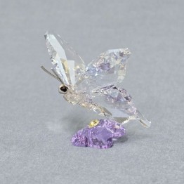 SCS - Butterfly - Event Piece 2013