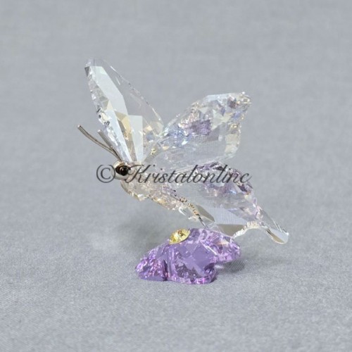 SCS - Butterfly - Event Piece 2013