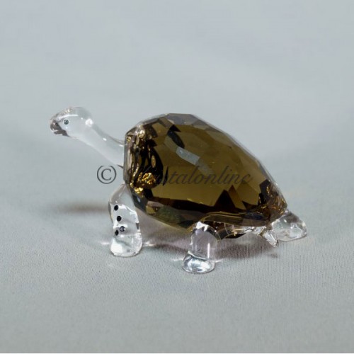 SCS - Galapagos Turtle - Event Piece 2010