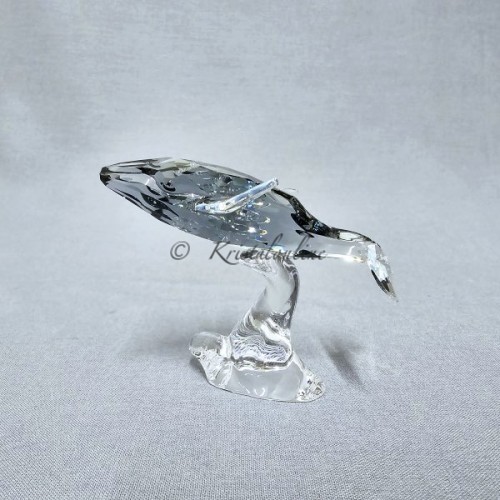 SCS - Annual Edition 2012 - Young Whale - without box cover