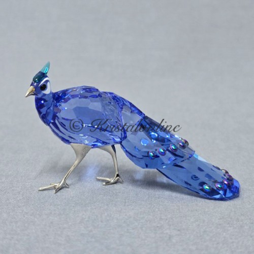 SCS - 2026 - Idyllia Palawan peacock