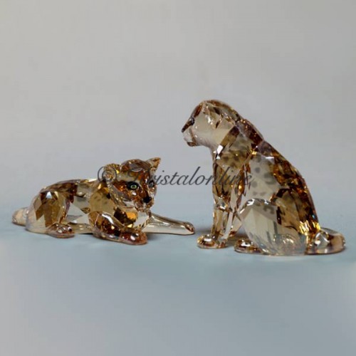 Swarovski Crystal | SCS Members | SCS - 2019 - Amur Leopard Cubs | 5428542