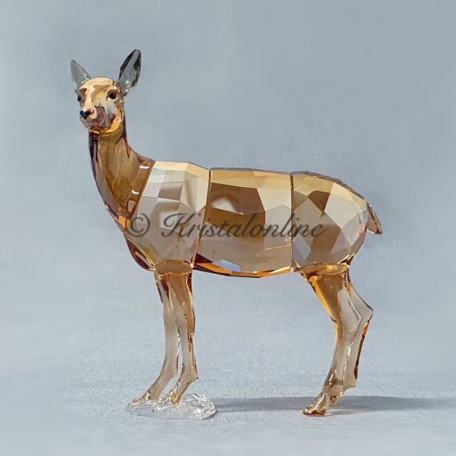 Swarovski Crystal | SCS Members | SCS - 2020 - Doe - Signed | 5537691