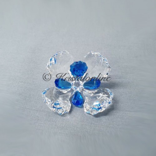 SCS - 2015 - Peacock Flower