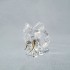 Swarovski Crystal | African Sunset | Elephant Hami | 5557855
