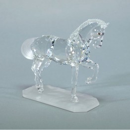 Arabian Stallion