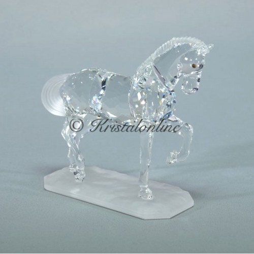 Arabian Stallion
