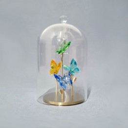 Swarovski Crystal | Jungle Beats | Bell Jar - Butterfly | 5619219