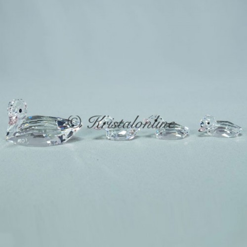 Ducks - Set of 4
