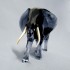 Swarovski Crystal | Elegance of Africa | Elephant Bull | 5611302