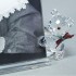 Kris Bear - With Picture Frame