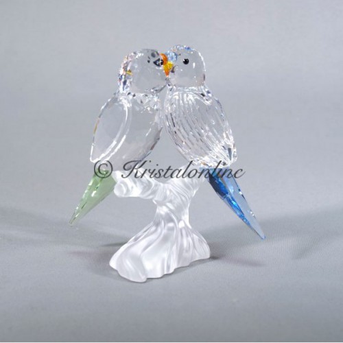 Budgies - without box cover