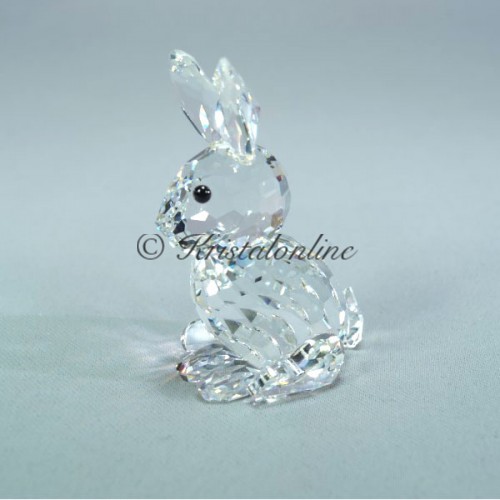 Mother Rabbit