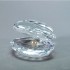 Shell With Pearl - without box and cert.