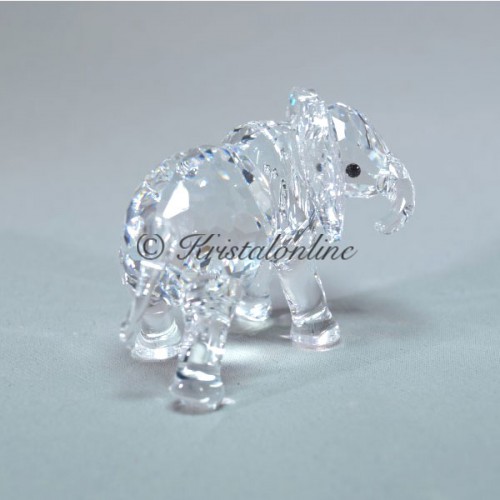 Elephant Little