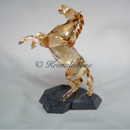 Stallion Golden Shine